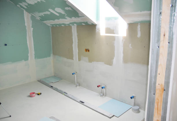 Best Airborne Mold Testing  in Pittsboro, IN