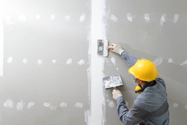 Best Post-Construction Mold Inspection  in Pittsboro, IN
