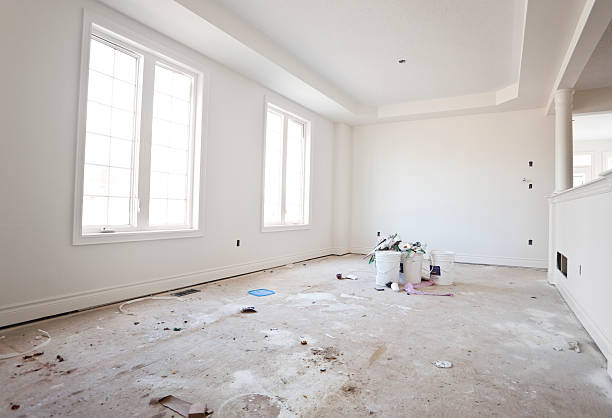 Pittsboro, IN Mold Removal Company