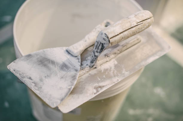 Best Forensic Mold Investigation  in Pittsboro, IN